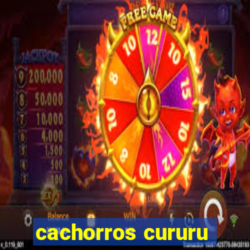 cachorros cururu